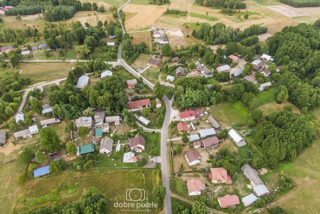 Borki koło Ulanowa z lotu ptaka